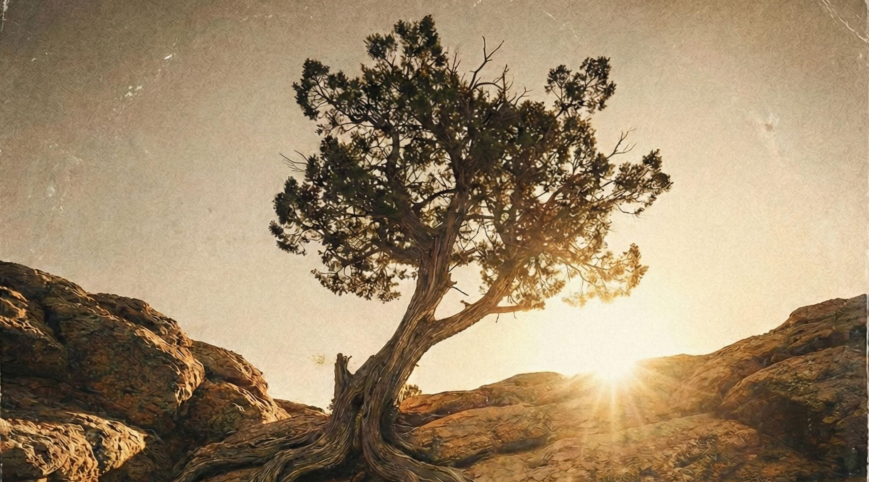 Levi Asher – Still Here Standing